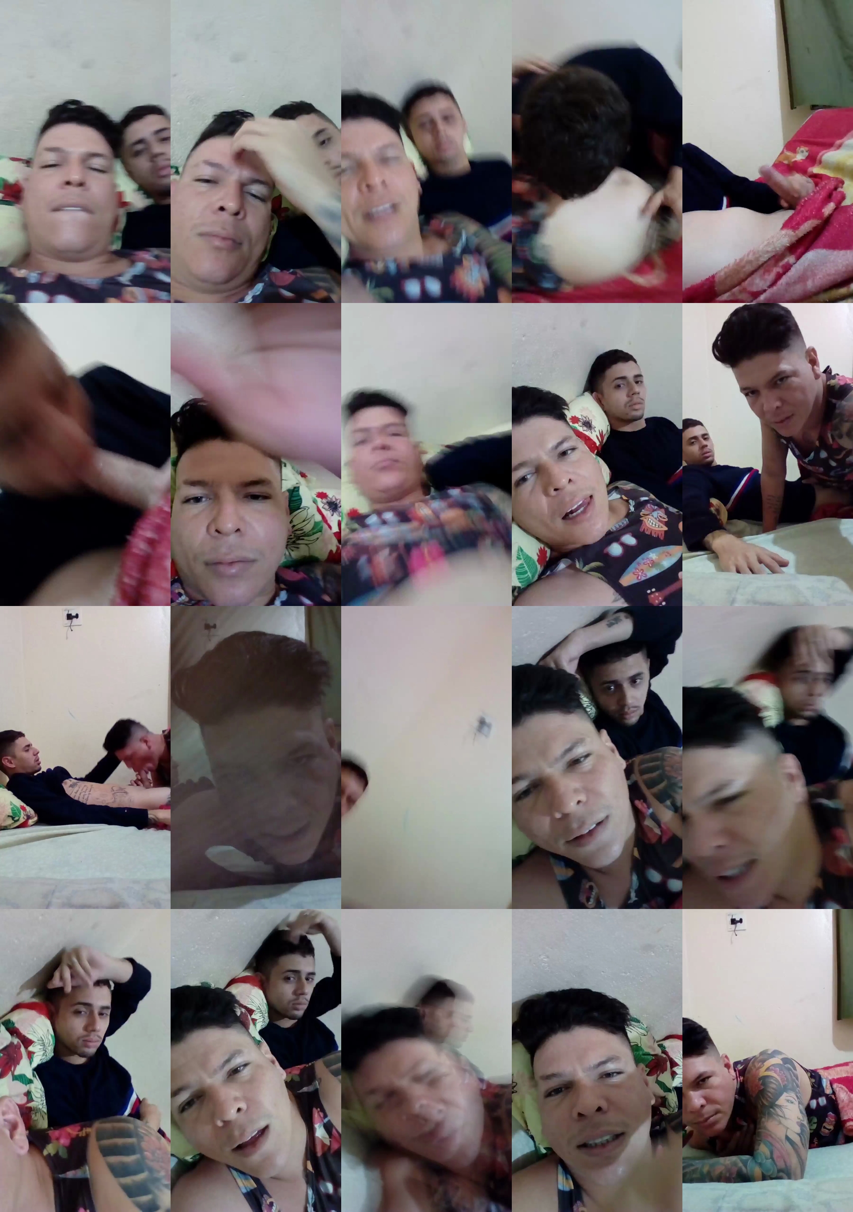 moises304  01-03-2022